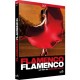 Europa Artisti Vari-Flamenco Flamenco
