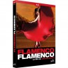 Europa Artisti Vari-Flamenco Flamenco