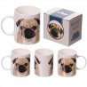 Pug Collection (Carlino Collection)-Pugs & Kisses Bone China Mug (Tazza)