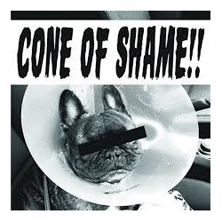 Faith No More-Cone Of Shame!!! (7")