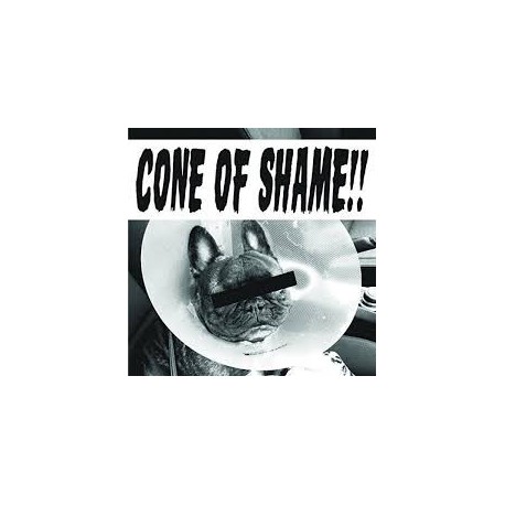 Faith No More-Cone Of Shame!!! (7")