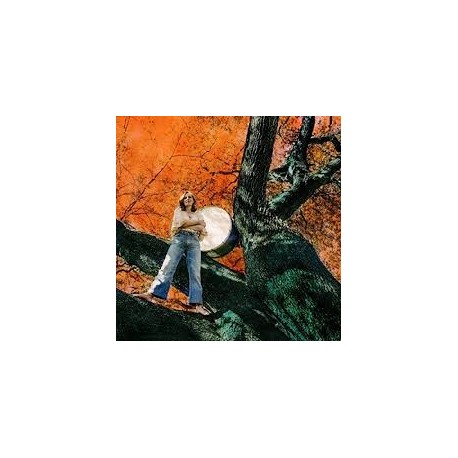 Tift Merritt-Stitch Of The World