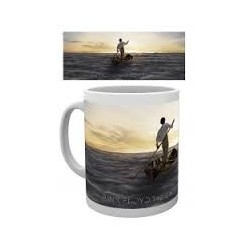 Pink Floyd-Dark Side Of The Moon Mug (Tazza)