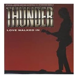 Thunder-Love Walked In