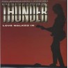 Thunder-Love Walked In