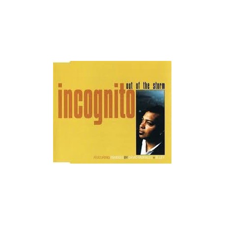 Incognito-Out Of The Storm