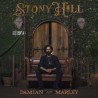 Damian Marley-Stony Hill