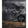 David Gilmour-Rattle That Lo-Ck