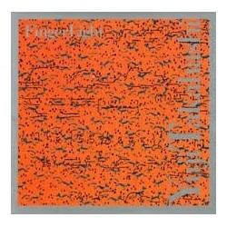 Yuji Takahashi-Finger Light