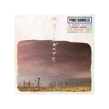 Pino Daniele-Musicante