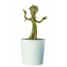 Guardians Of The Galaxy-Q-Fig Rocket & Groot