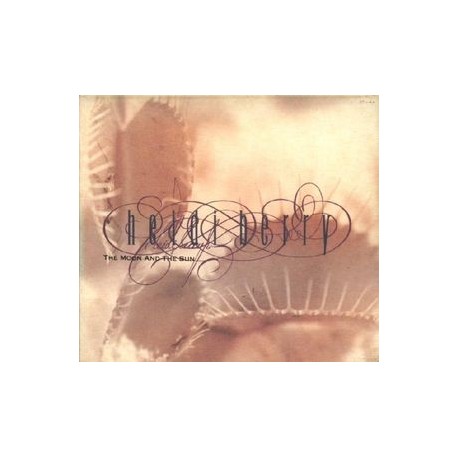 Heidi Berry-Moon And The Sun