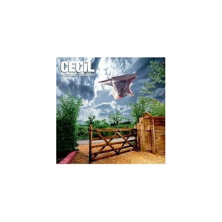 Cecil-Bombar Diddlah