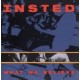 Insted-What We Believe