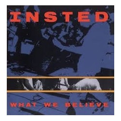Insted-What We Believe