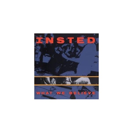 Insted-What We Believe