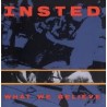 Insted-What We Believe