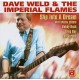 Dave Weld-Slip Into a Dream