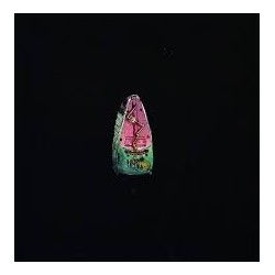 Zuffanti-In/Out A La Fine Dell'amore