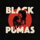 Black Pumas-Black Pumas