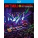 Gov't Mule-Bring On The Music