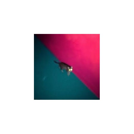 !!! (Chk! Chk! Chk!)-Wallop