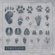 Corb Lund-Cover Your Tracks