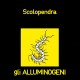 Alluminogeni-Scolopendra