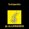 Alluminogeni-Scolopendra