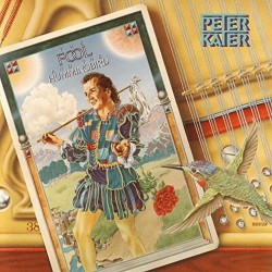 Peter Kater-Fool And The Hummingbird