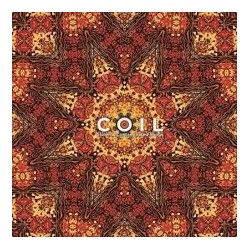 Coil-Stolen & Contaminated Songs