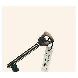 Perturbazione-(Dis)amore