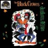 Black Crowes-Jealous Again