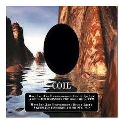 Coil-A Guide For Beginners:The Voice Of Silver/ A Guide For Finishers:A Hair Of Gold