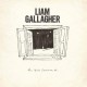 Liam Gallagher-All You're Dreaming Of