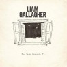 Liam Gallagher-All You're Dreaming Of