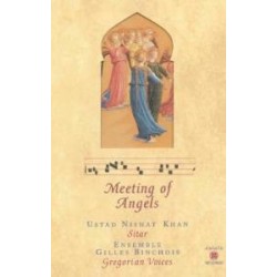 Ustad Nishat Khan-Meeting Of Angels