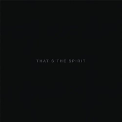 Bring Me The Horizon-That's The Spirit