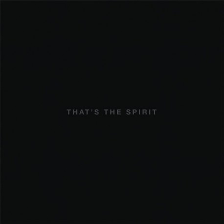 Bring Me The Horizon-That's The Spirit
