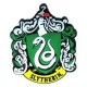 Harry Potter-Slytherin Magnet (Magnete Serpeverde)