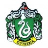Harry Potter-Slytherin Magnet (Magnete Serpeverde)