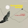 Howlin' Wolf-Moanin' In the Moonlight