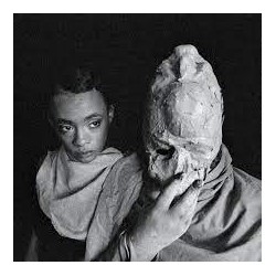 Protomartyr-Formal Growth In The Desert