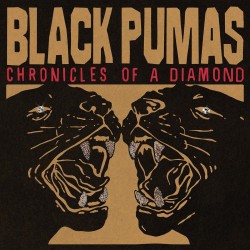 Black Pumas-Chronicles Of A Diamond