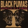 Black Pumas-Chronicles Of A Diamond