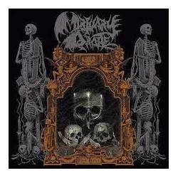 Mortuary Drape-Black Mirror
