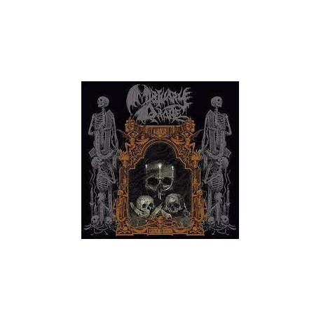 Mortuary Drape-Black Mirror