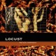 Locust-Natural Composite