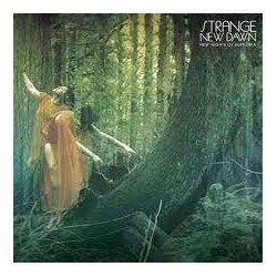 Strange New Dawn-New Nights Of Euphoria