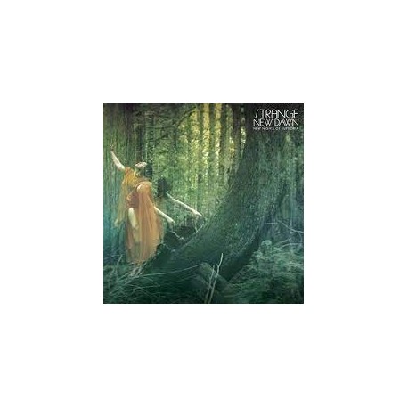 Strange New Dawn-New Nights Of Euphoria
